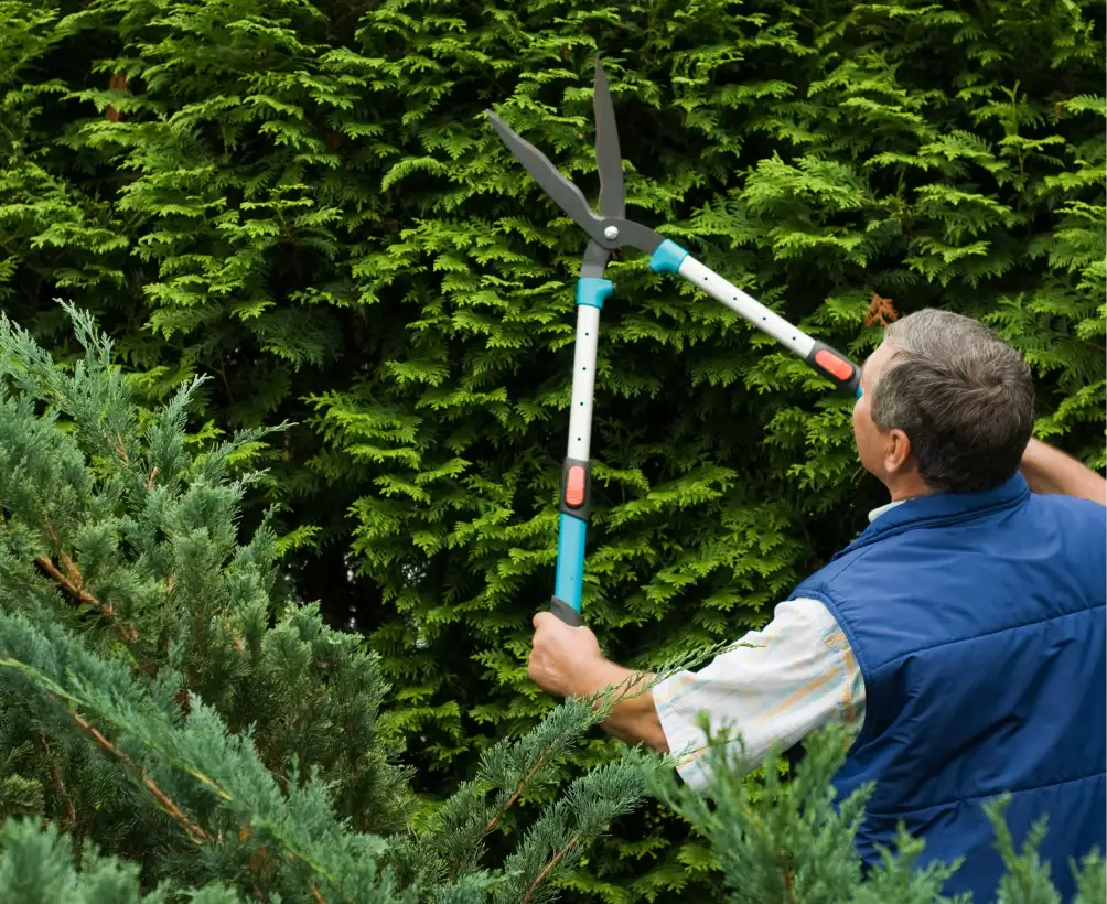 Latouche Paysagere Paysagiste Brissac Entretien Despace Verts 02 2