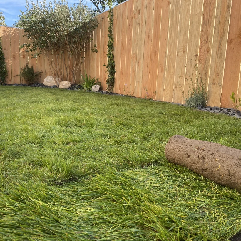 Latouche Paysagere Paysagiste Brissac Bois Soleil 18