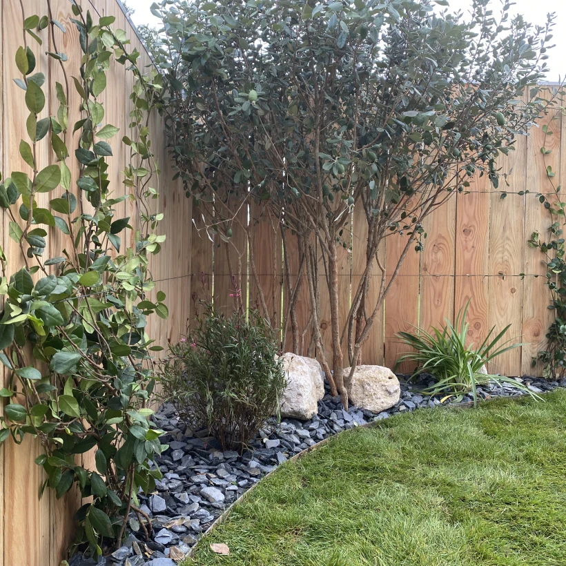 Latouche Paysagere Paysagiste Brissac Bois Soleil 19