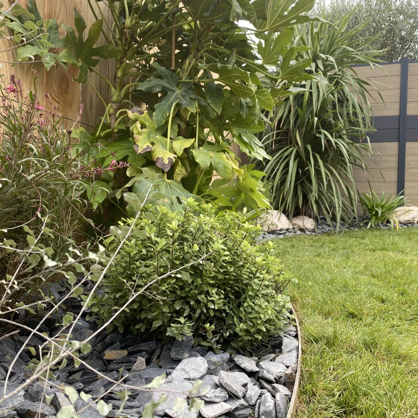 Latouche Paysagere Paysagiste Brissac Bois Soleil 7