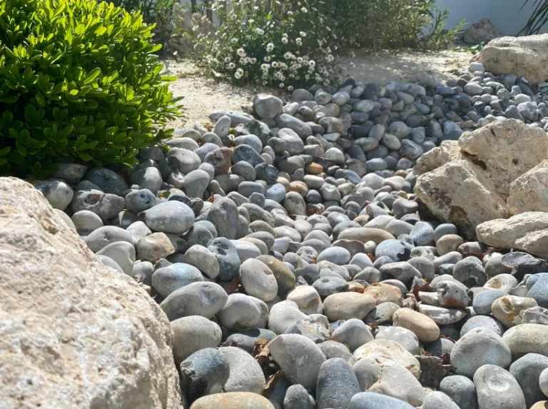 Latouche Paysagere Paysagiste Brissac Ecume Prierre 4