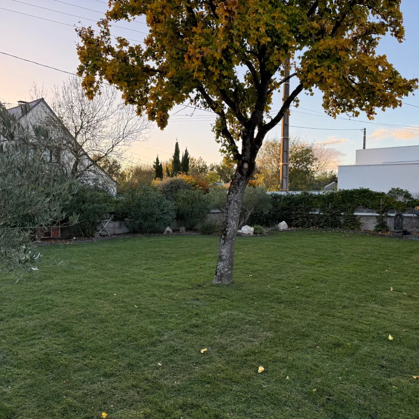 Latouche Paysagere Paysagiste Brissac Olea Feijoa 13