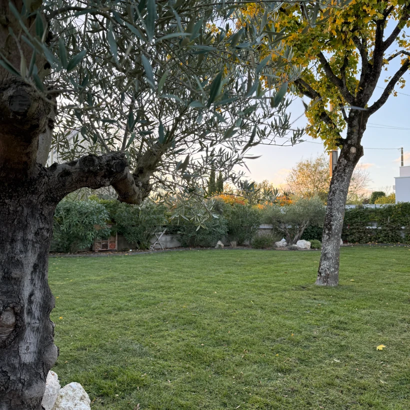 Latouche Paysagere Paysagiste Brissac Olea Feijoa 14