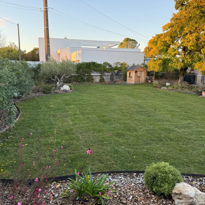 Latouche Paysagere Paysagiste Brissac Olea Feijoa 15