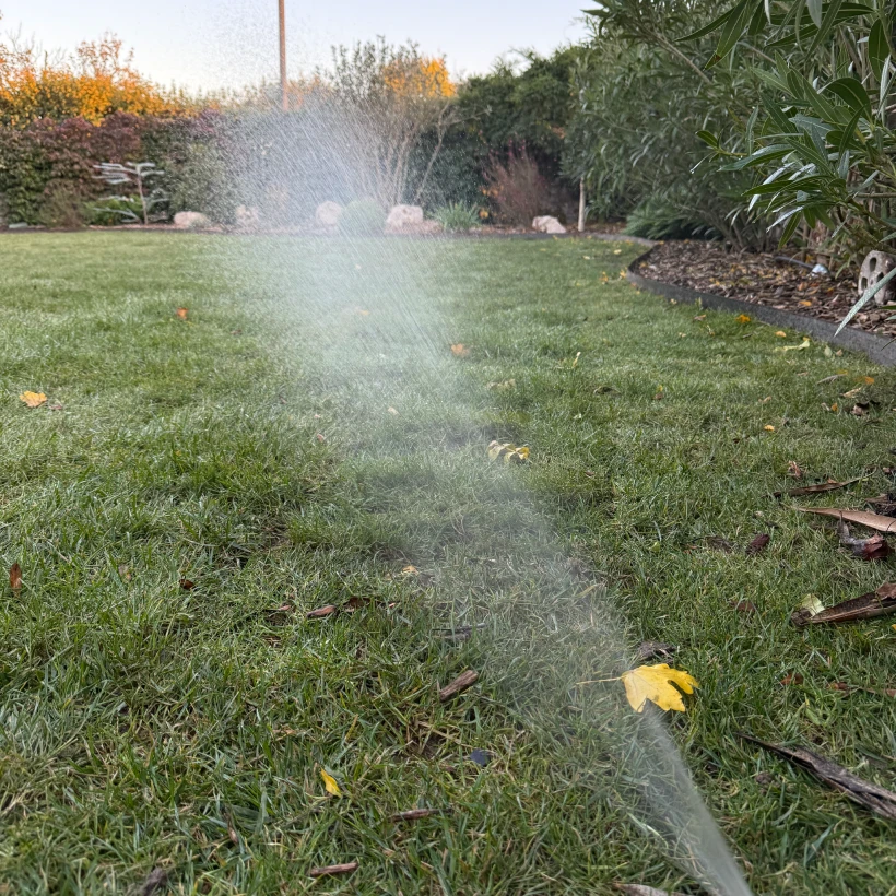 Latouche Paysagere Paysagiste Brissac Olea Feijoa 17