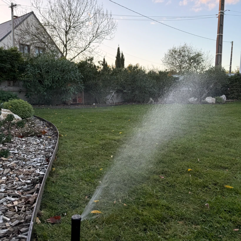 Latouche Paysagere Paysagiste Brissac Olea Feijoa 19