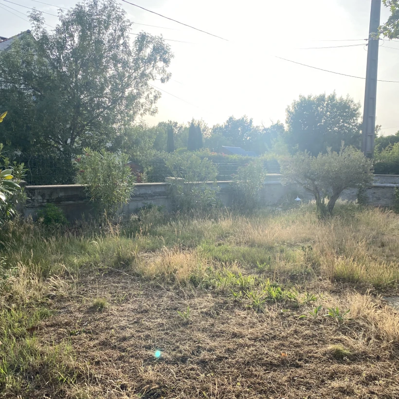 Latouche Paysagere Paysagiste Brissac Olea Feijoa 22