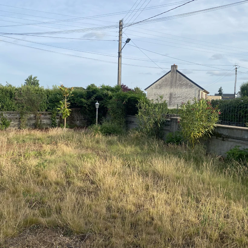 Latouche Paysagere Paysagiste Brissac Olea Feijoa 23