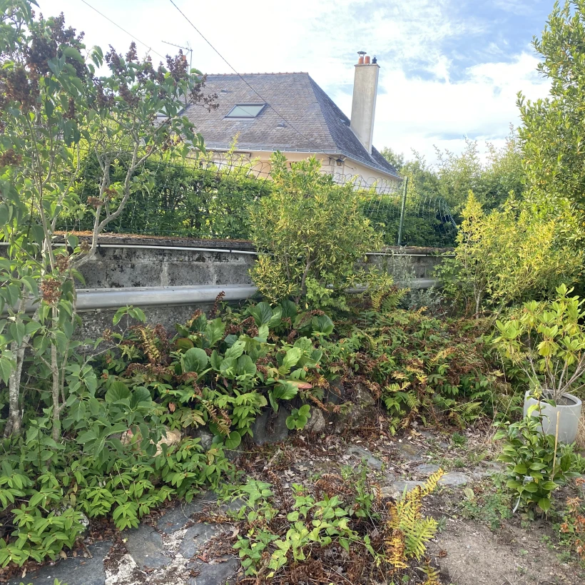 Latouche Paysagere Paysagiste Brissac Olea Feijoa 24