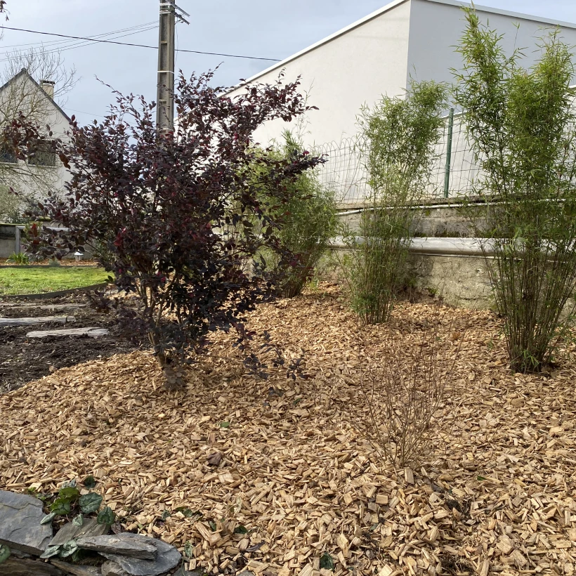 Latouche Paysagere Paysagiste Brissac Olea Feijoa 26