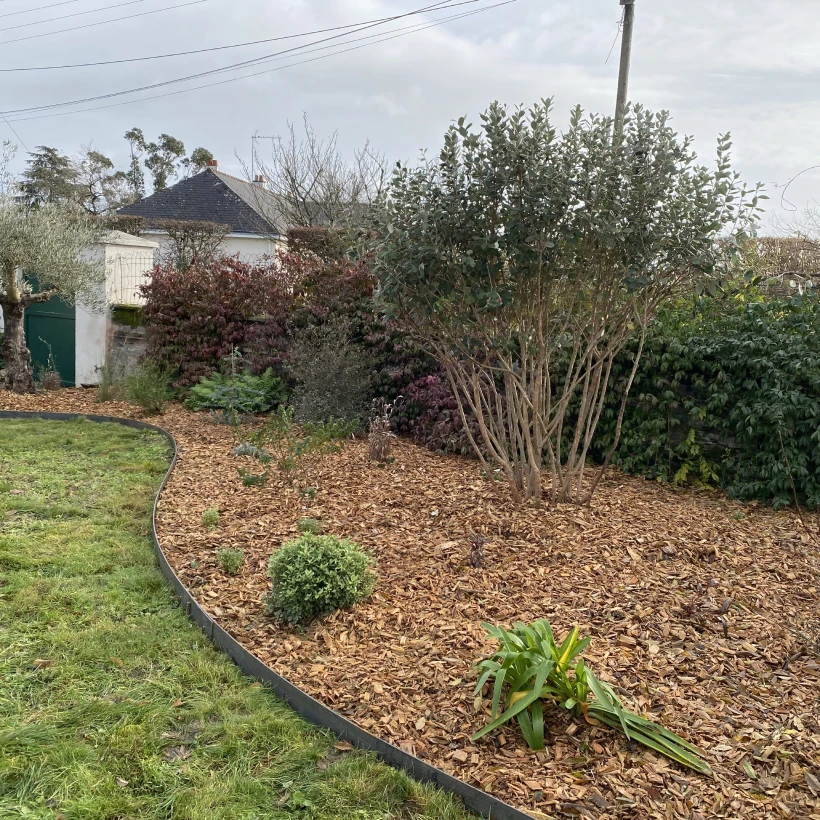 Latouche Paysagere Paysagiste Brissac Olea Feijoa 28
