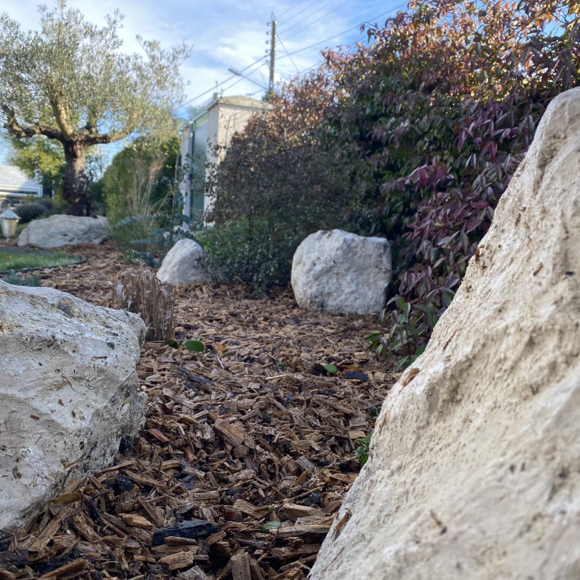 Latouche Paysagere Paysagiste Brissac Olea Feijoa 5