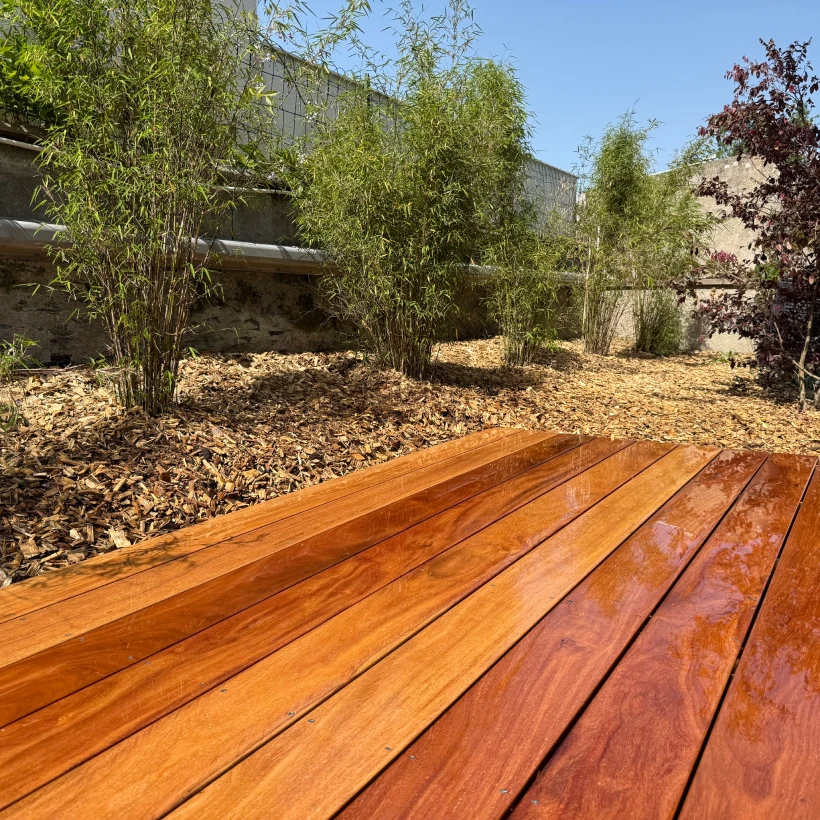 Latouche Paysagere Paysagiste Brissac Olea Feijoa 8