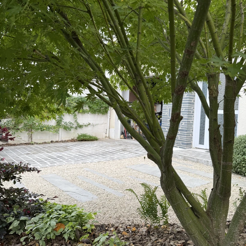 Latouche Paysagere Paysagiste Brissac Pierre Erable 1