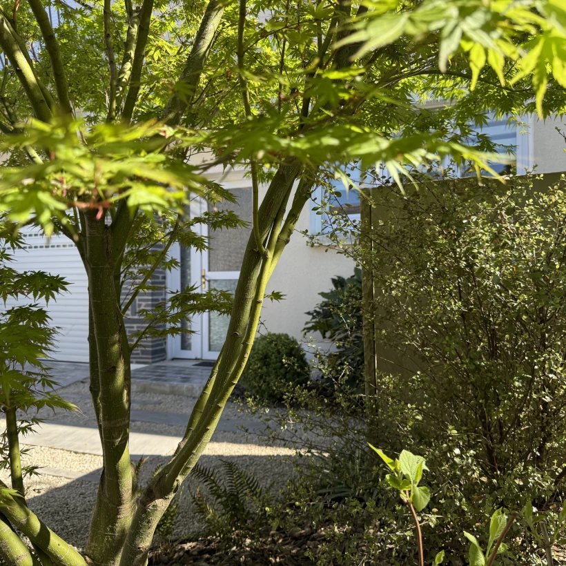 Latouche Paysagere Paysagiste Brissac Pierre Erable 10