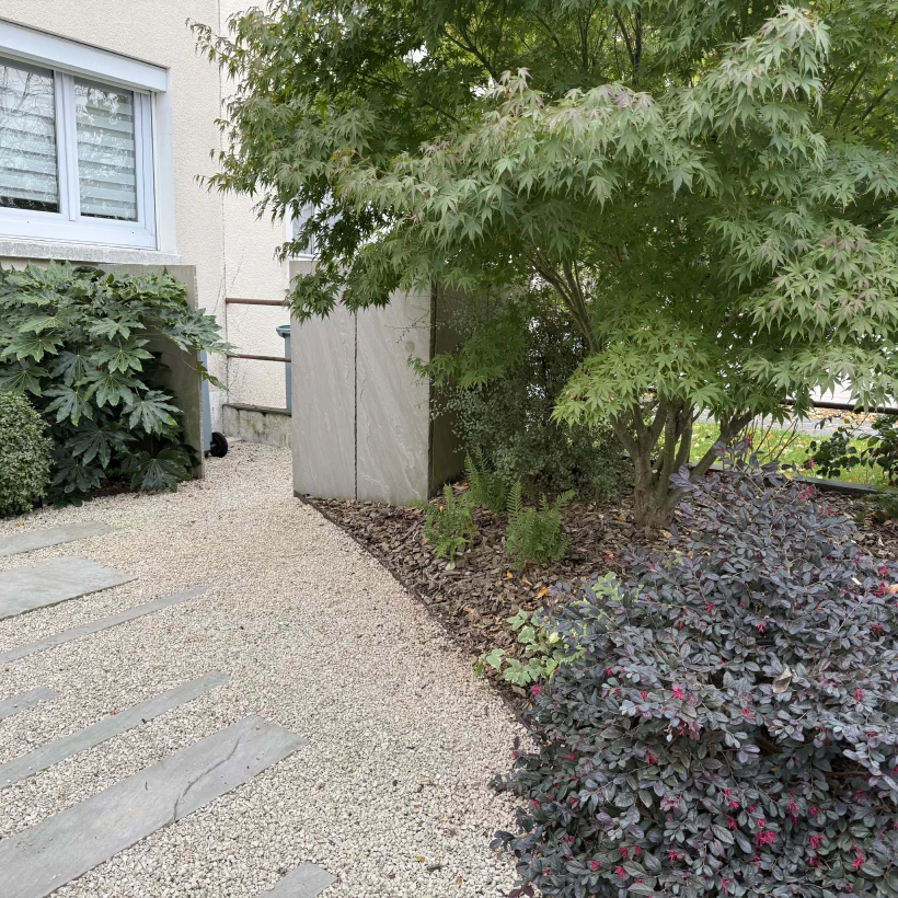 Latouche Paysagere Paysagiste Brissac Pierre Erable 13