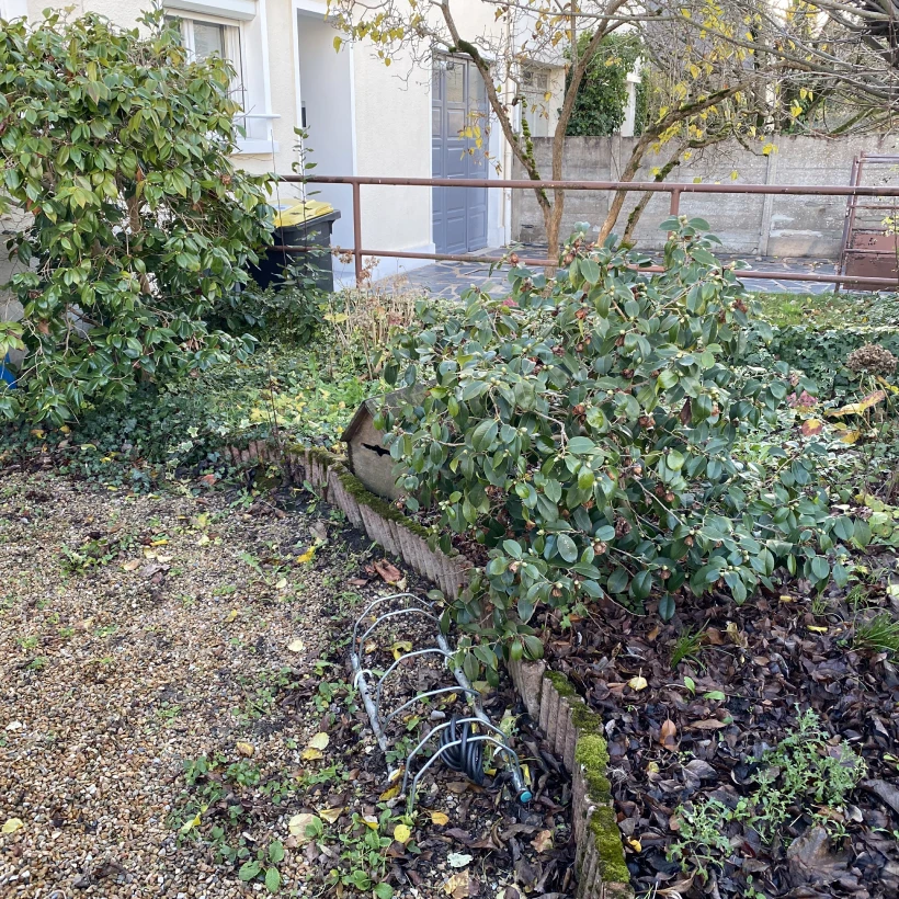 Latouche Paysagere Paysagiste Brissac Pierre Erable 3