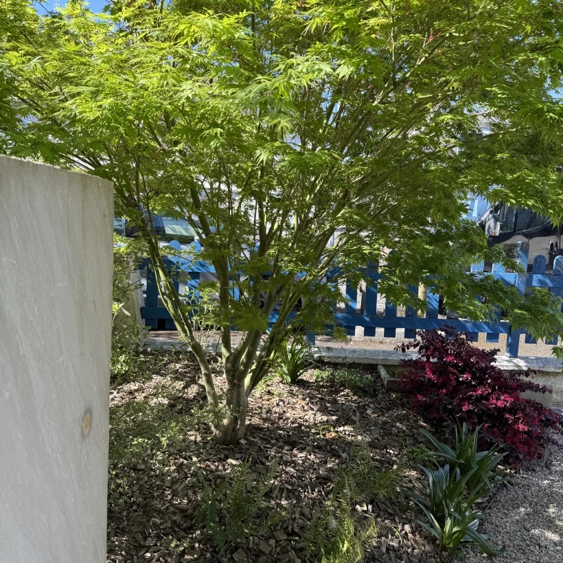 Latouche Paysagere Paysagiste Brissac Pierre Erable 9