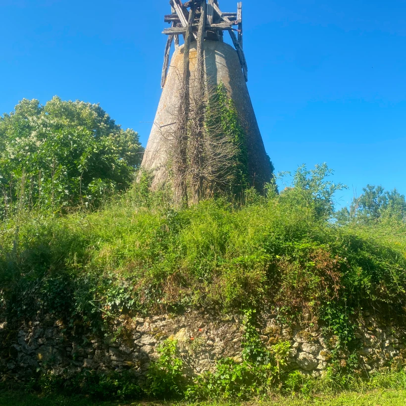 Latouche Paysagere Paysagiste Brissac Soins Nature 1