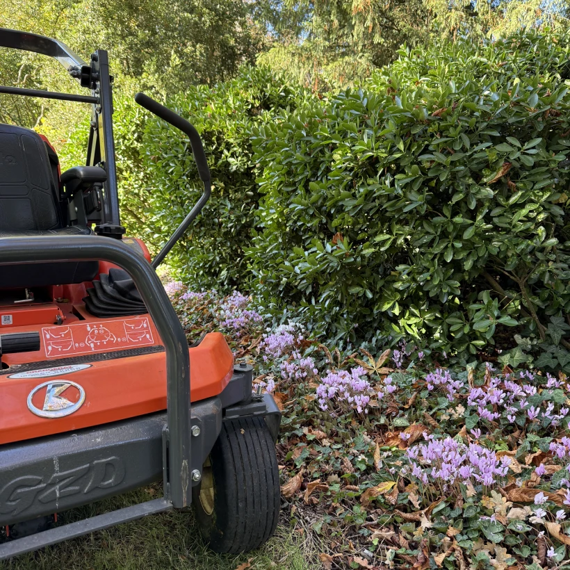 Latouche Paysagere Paysagiste Brissac Soins Nature 11