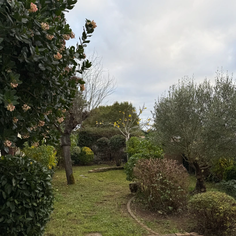 Latouche Paysagere Paysagiste Brissac Soins Nature 14