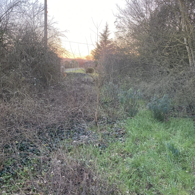 Latouche Paysagere Paysagiste Brissac Soins Nature 15