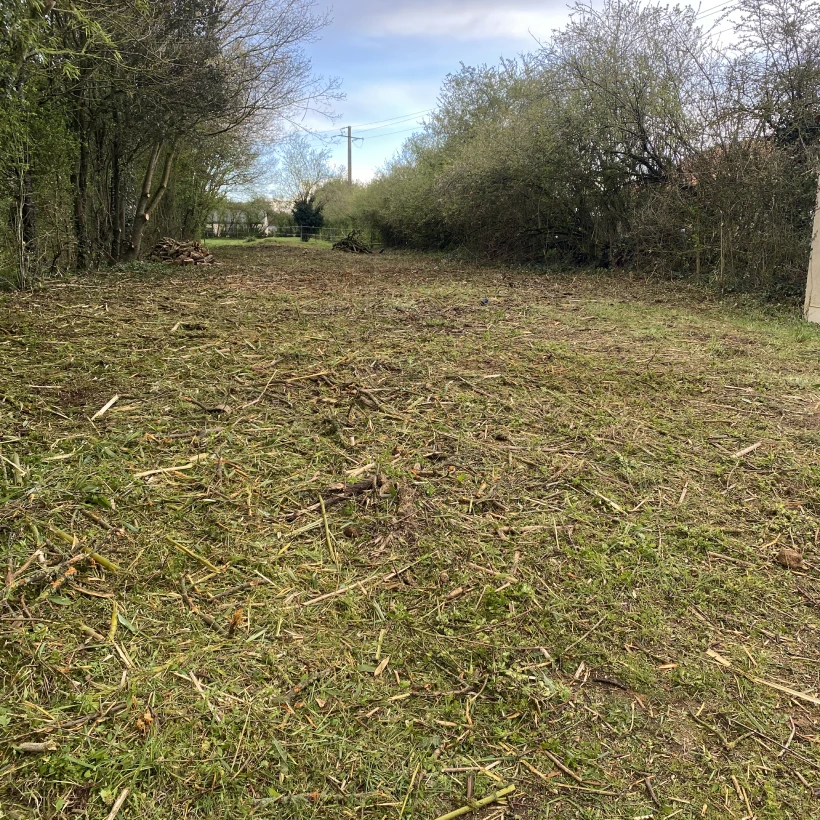 Latouche Paysagere Paysagiste Brissac Soins Nature 16