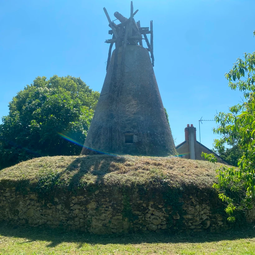 Latouche Paysagere Paysagiste Brissac Soins Nature 2