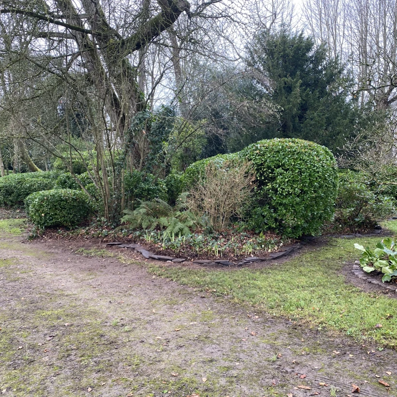 Latouche Paysagere Paysagiste Brissac Soins Nature 5