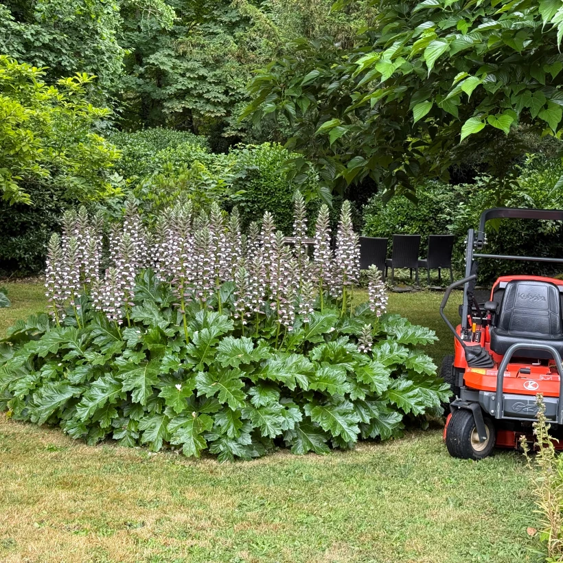 Latouche Paysagere Paysagiste Brissac Soins Nature 6