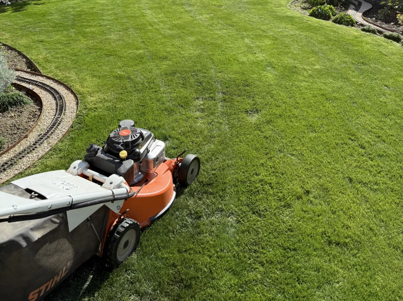 Latouche Paysagere Paysagiste Brissac Soins Nature 9